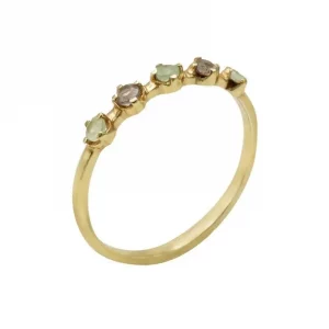 ACUS Ring LARA